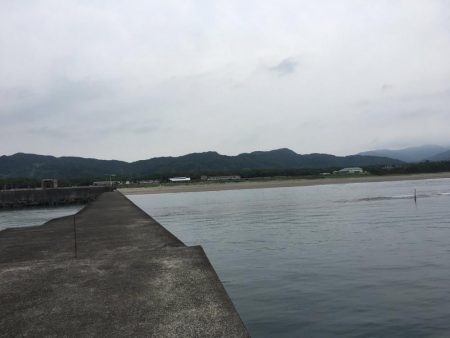 夏の風物詩マゴチ！